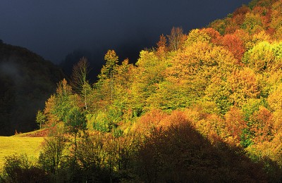 November